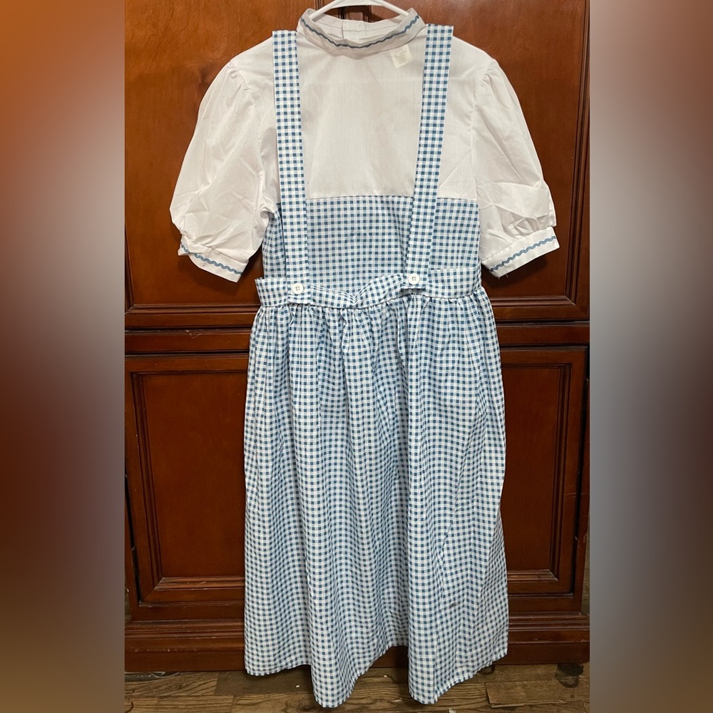 Dorthy Wizard of Oz Costume